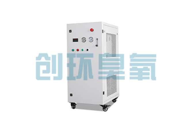 徐水比传统换水更高效?臭氧发生器在石斑鱼养殖中的水质净化原理解析